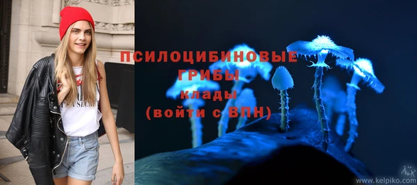 каннабис Осташков