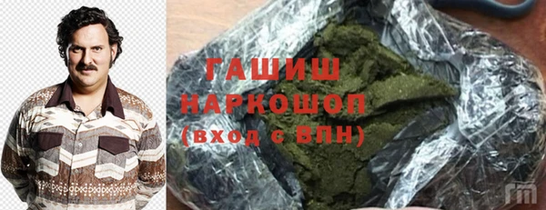 индика Няндома